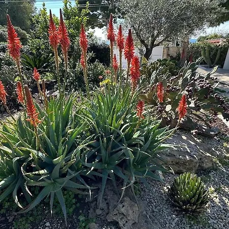 Delizioso A Ridosso Del Mare Del Siracusa